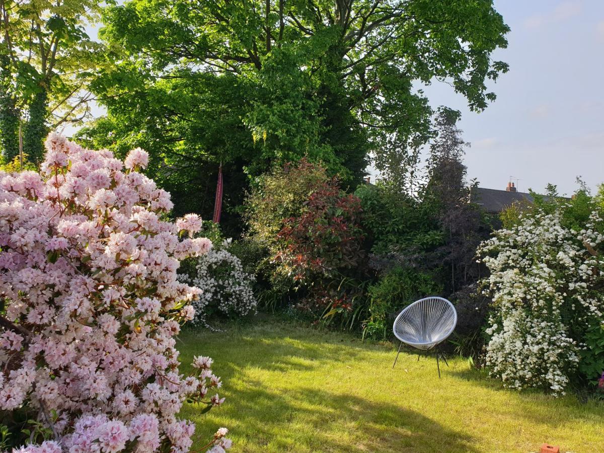 Luxury 5* With Secret Garden And Free Parking Liverpool