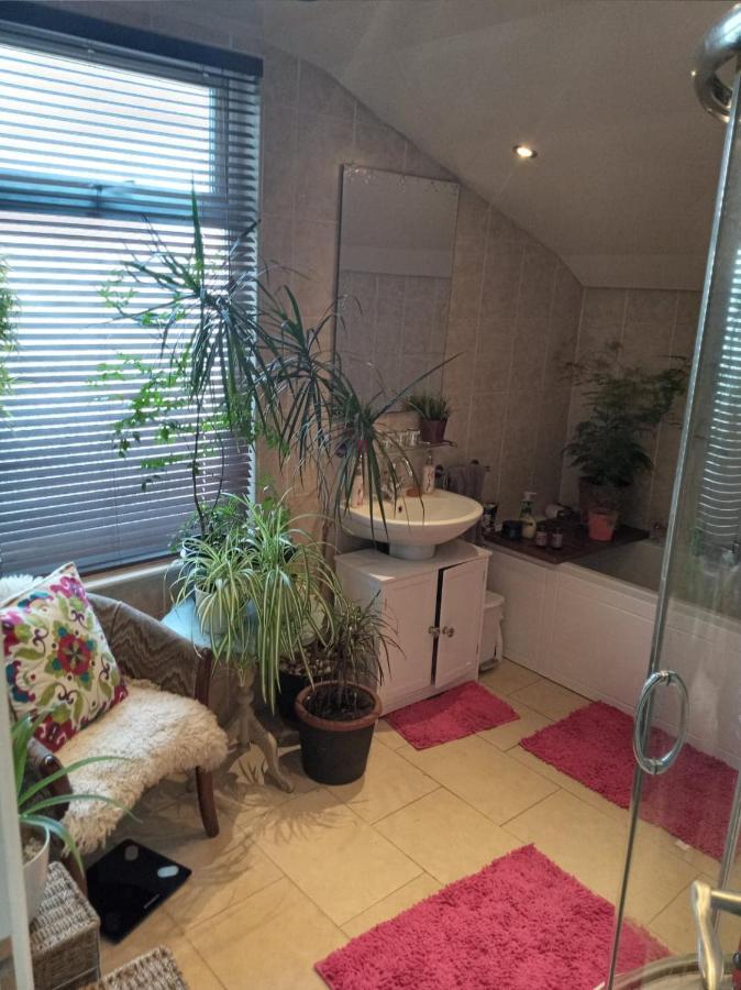Homestay Sunny Double Close To Centre *