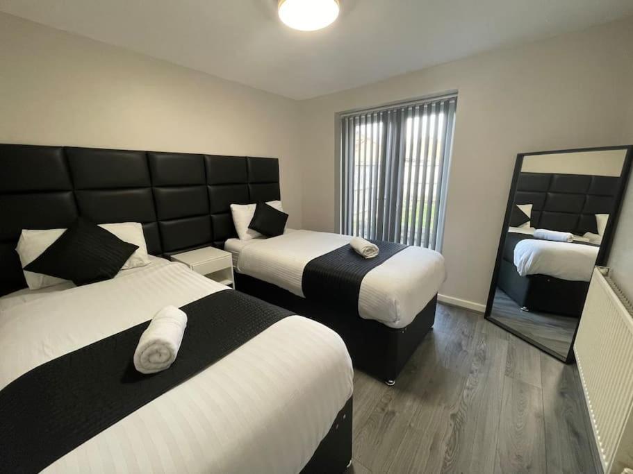 Hosted By Ryan - 2 Bedroom Apartment