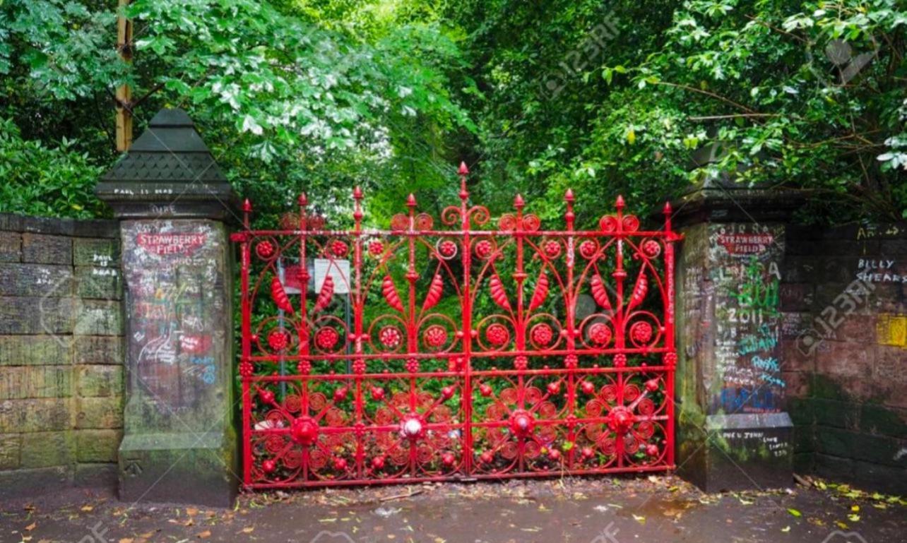 Violet's Mossley Hill