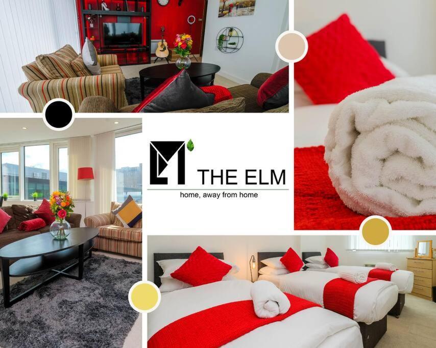 The Elm Serviced & Flat 45 *