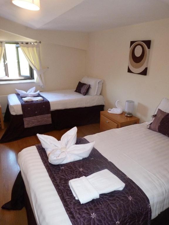 Hostel International